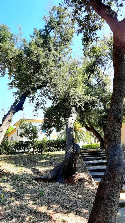 ホテル San Giuseppe Casa Per Ferie クエルチアネッラ エクステリア 写真