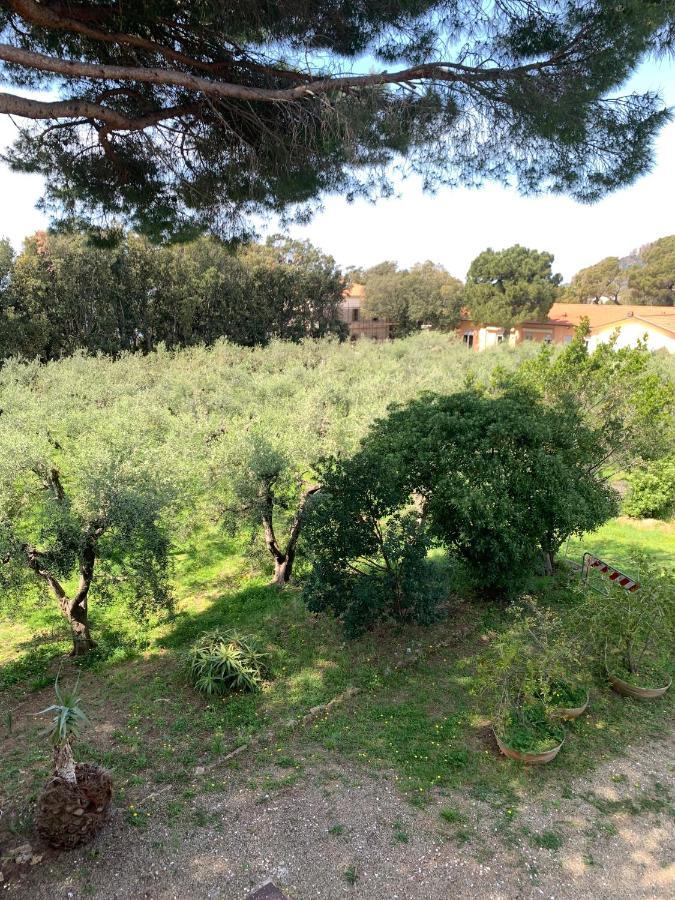 ホテル San Giuseppe Casa Per Ferie クエルチアネッラ エクステリア 写真